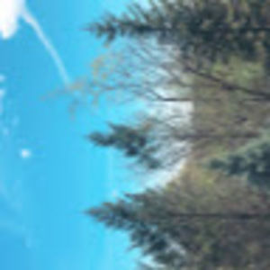 Meet your Posher, Mckena